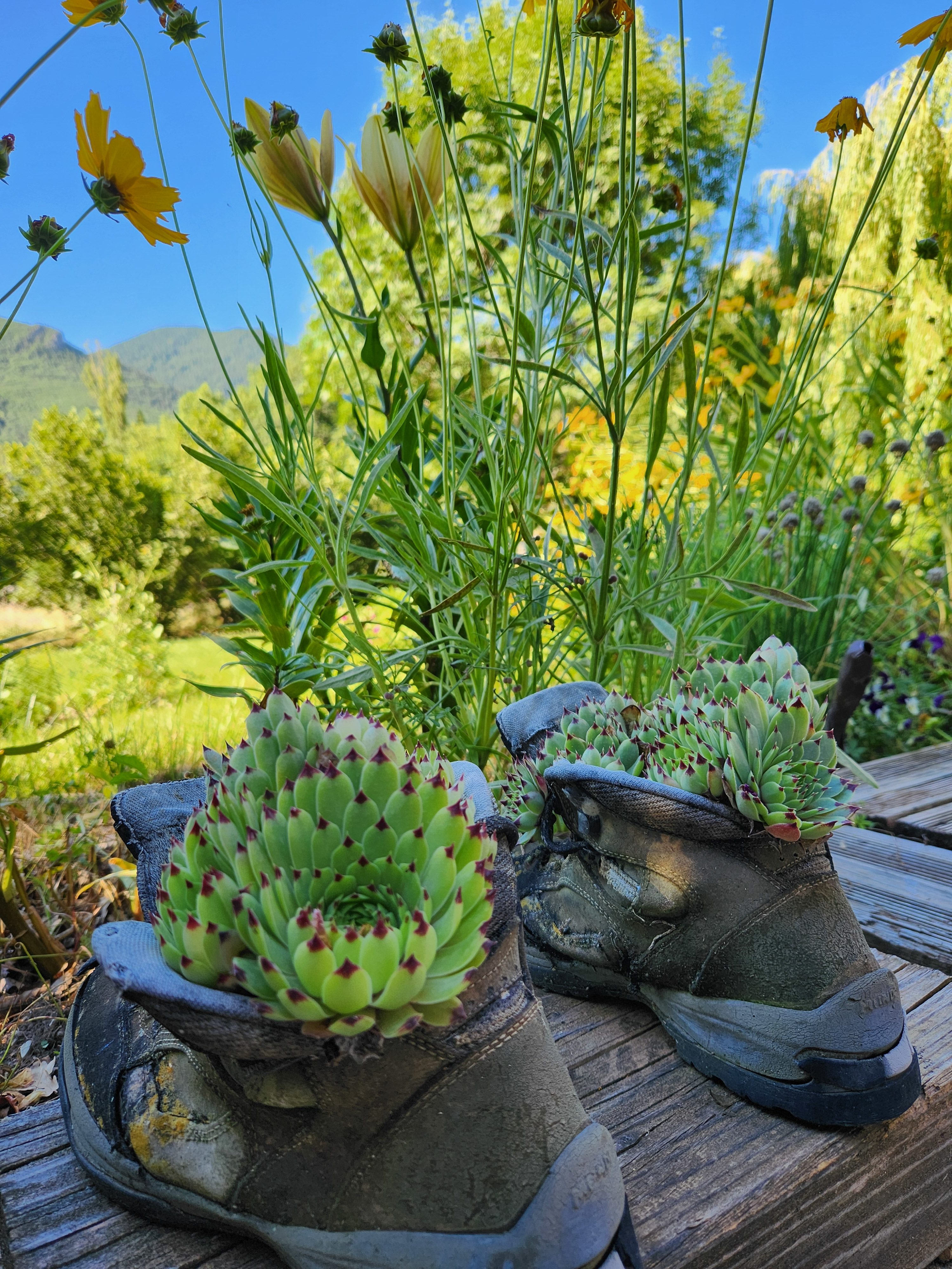 Décoration zen habitat bien-être sacré